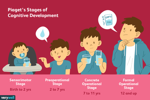 2795457-article-piagets-stages-of-cognitive-development-5a95c43aa9d4f900370bf112